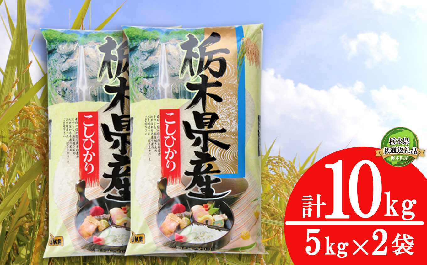 
            【数量限定】令和6年米 栃木県産こしひかり 10kg（5kg×2袋）| コシヒカリ 白米 精米 お米 米 ブランド米 栃木県共通返礼品 栃木県 下野市 送料無料
          