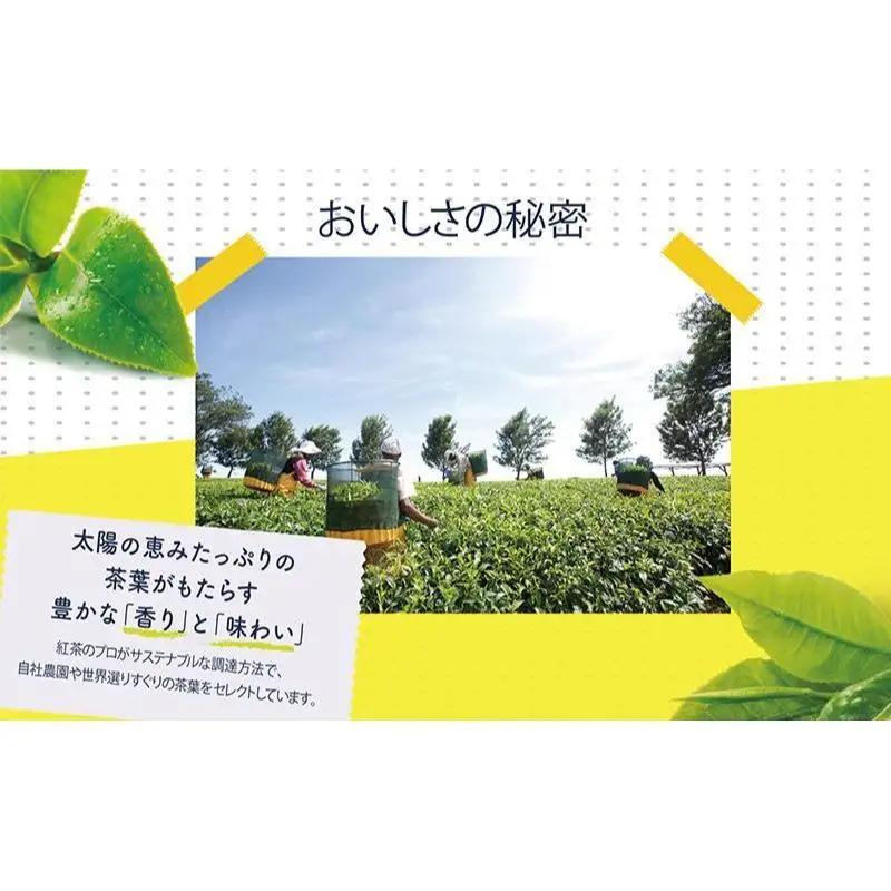 リプトン アップル ティーバッグ 15袋 飲料 紅茶 ティー りんご ティーバッグ リラックス リフレッシュ