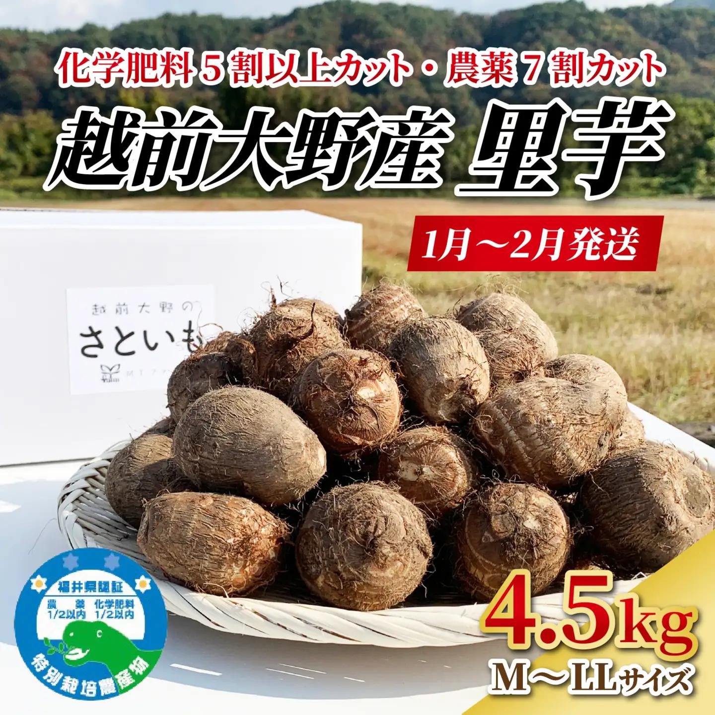 越前大野産 里芋【1月から順次発送】4.5kg 土付里芋 特別栽培  [A-008002]