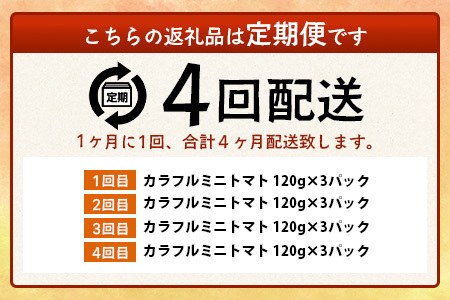 【4回定期便】【先行受付】2027年1月より順次発送｜【少量パック】カラフルミニトマト6種 360g（120g×3）｜トマト プチトマト 野菜 農家直送 ギフト 人気｜佐賀県鹿島市 たにぐちファーム 