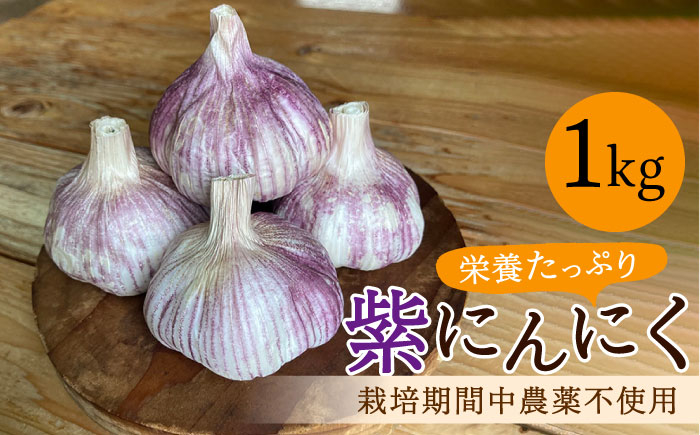 
            香り高い！栽培期間中農薬不使用！紫にんにく 1kg 野菜 薬味 ニンニク 【浅田峠自然塾】 [EA17]
          
