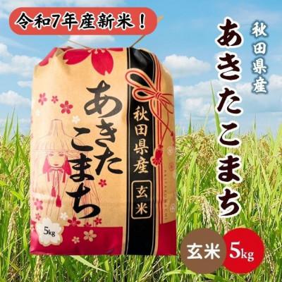 ふるさと納税 潟上市 新米!令和7年産 秋田県産あきたこまち 5kg(玄米)
