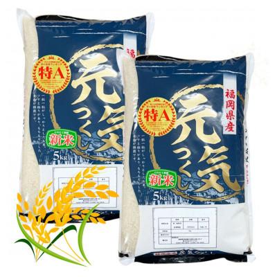 ふるさと納税 吉富町 【令和5年産】福岡県産ブランド米「元気つくし」白米10kg(5kg×2袋)(吉富町)