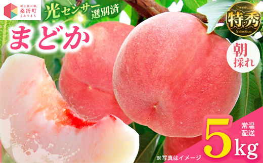 もも【まどか・2026年産】特秀　5kg　桑折町産　JAふくしま未来　桃　献上桃の郷　【07301-0235】