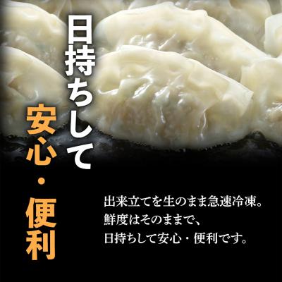 ふるさと納税 鹿児島市 【日本全国!ご当地冷凍食品大賞 2024-2025 優秀賞受賞!】鹿児島黒豚100%餃子 48個入り |  | 02