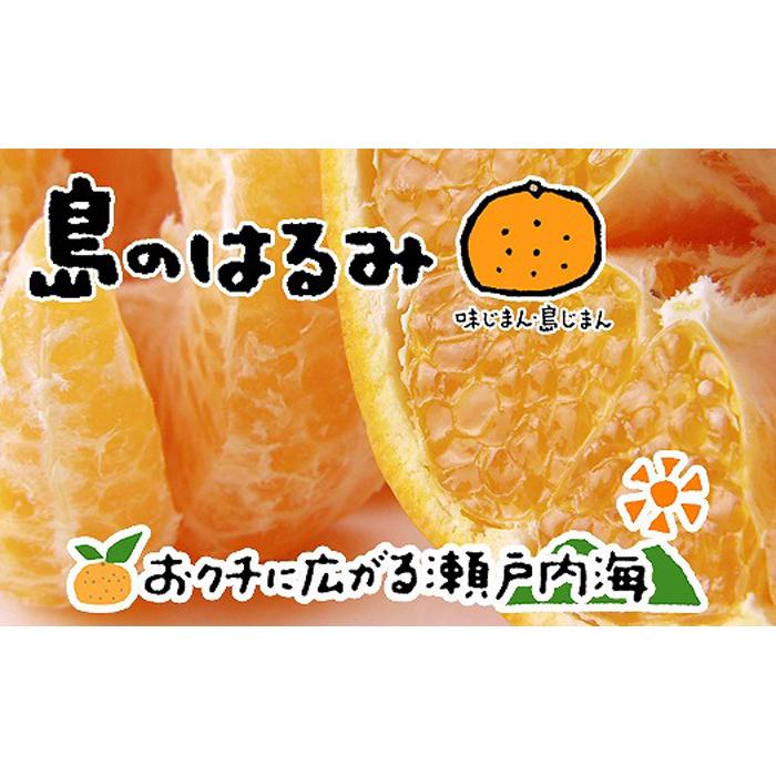 【ふるさと納税】 【2月中旬から発送】 はるみ 4kg 愛媛 中島産 | 愛媛 みかん 先行予約 蜜柑 柑橘 果物 くだもの フルーツ お取り寄せ グルメ 期間限定 数量限定 人気 おすすめ 愛媛県 松山市