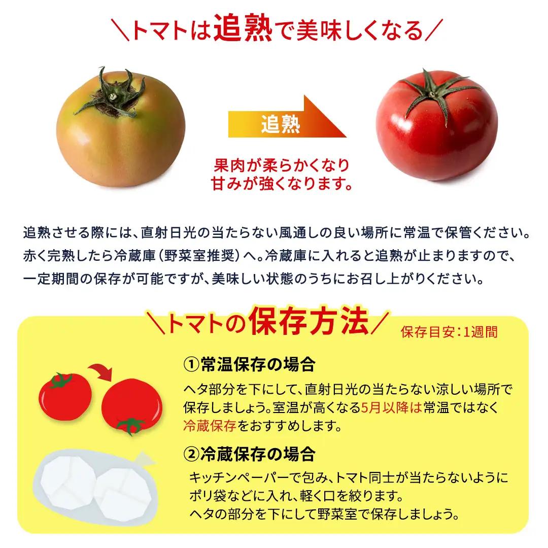 《 2027年 収穫分 》全3回 定期便 スーパーフルーツトマト てるて姫 小箱 約800g×1箱×3回 糖度9度以上 先行予約 定期便 3ヶ月 茨城県 桜川市 KEK 国産 トマト フルーツトマト 