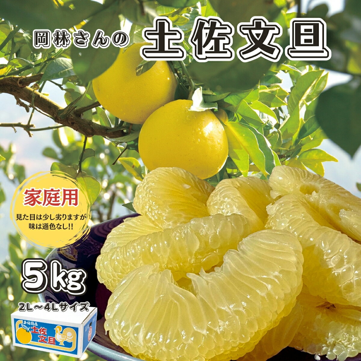 【ふるさと納税】香る！さっぱり！岡林さんの土佐文旦　家庭用5kg 柑橘 フルーツ 高知産 産地直送 数量限定 美味しい おすすめ 2月