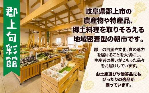 【R-9】[定期便]郡上の旬野菜とお米（年３回） 食品  野菜 セット 詰め合わせ