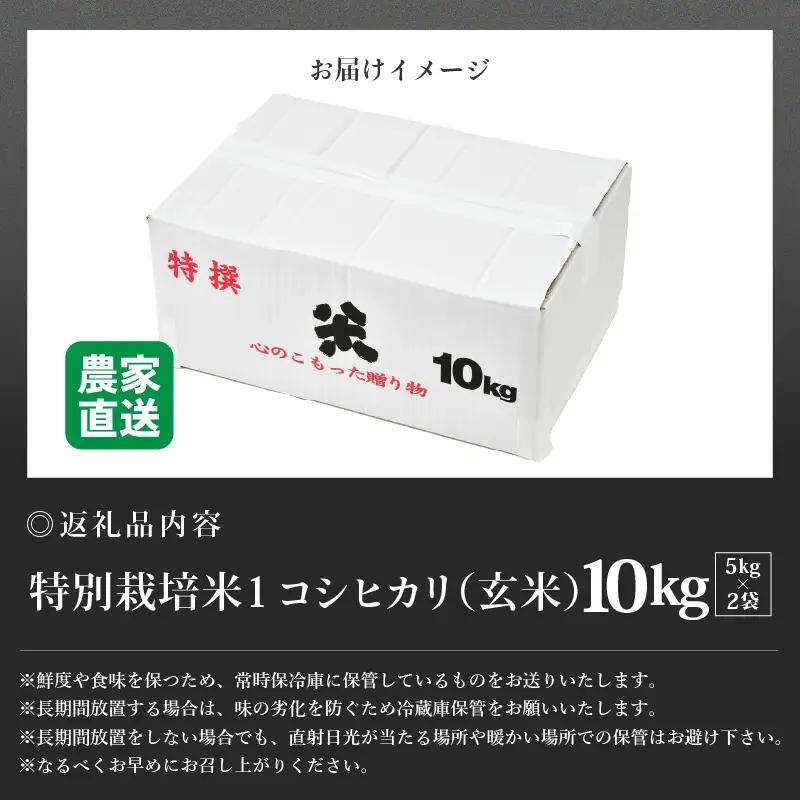 【先行予約】【令和8年産 新米】コシヒカリ 玄米 5kg×2袋（計10kg） 特別栽培米 農薬不使用 化学肥料不使用 ／ 残留農薬ゼロ 高品質 鮮度抜群 福井県産 ブランド米 ※2026年9月下旬より