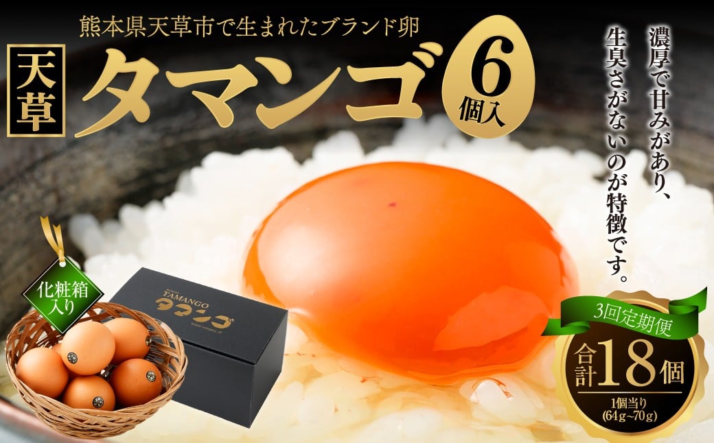 
            熊本県天草市で生まれたブランド卵「天草タマンゴ」6個入 ／ 化粧箱×3回 計18個 化粧箱入 【3ヶ月連続定期便】 卵 たまご タマゴ 生卵 生たまご 卵黄 卵 定期便 3回 熊本県 天草市 
          