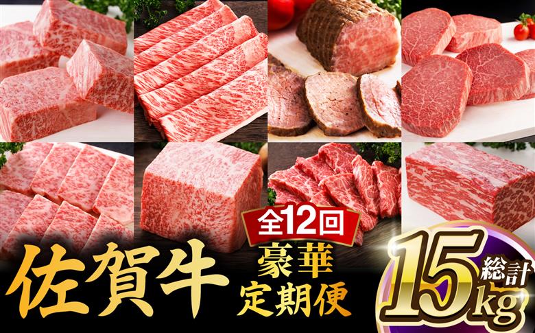 【全12回】 A5ランク 佐賀牛 最上級 プレミアム 定期便 約4-6人前 総計15.4kg 100万 /焼肉どすこい [UCC003] 最高級 牛肉 肉 ステーキ スライス ローストビーフ ヒレ