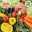 【ふるさと納税】 太陽の野菜セット 配送先は本州限定 【 季節ごと旬の野菜 80サイズ段ボール1箱分 】( 化学肥料 除草剤 不使用 )〔 野菜 詰め合わせ 野菜 セット 信州 長野 飯綱町 15000円 〕 発送時期：2025年7月上旬〜2025年11月上旬