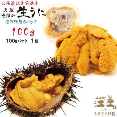 ふるさと納税 江差町 ★2025年分先行受付★江差前浜産 生うに 100g 海洋深層水パック(無添加・みょうばん不使用)