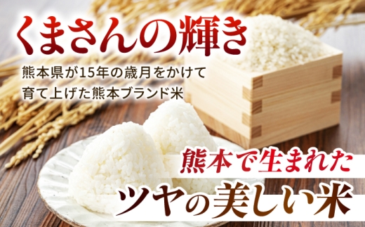 〈令和8年度産米〉【6回定期便】熊本県産 くまさんの輝き 白米 20kg (5kg×4) 米 お米 ご飯 こめ【有限会社 あそしな米穀】 [ZBI052]