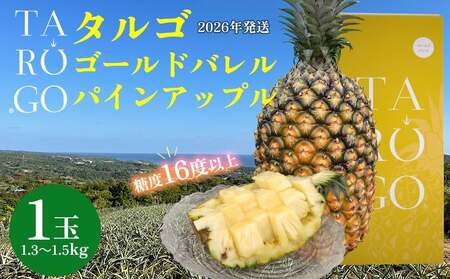 東物産「TARUGO」約1.3～1.5kg（1玉）黄箱／贈答用