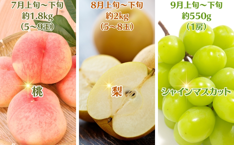 【2026年受付】ご家庭用 食べきり 旬果フルーツ定期便 全6回