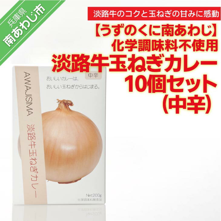 【ふるさと納税】化学調味料不使用【淡路牛玉ねぎカレー】（中辛）10個セット
