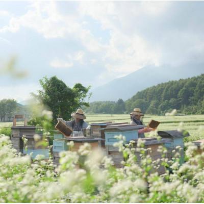 ふるさと納税 滝沢市 非加熱はちみつ　そば・春の百花(さくら)　300g×各1本 |  | 03