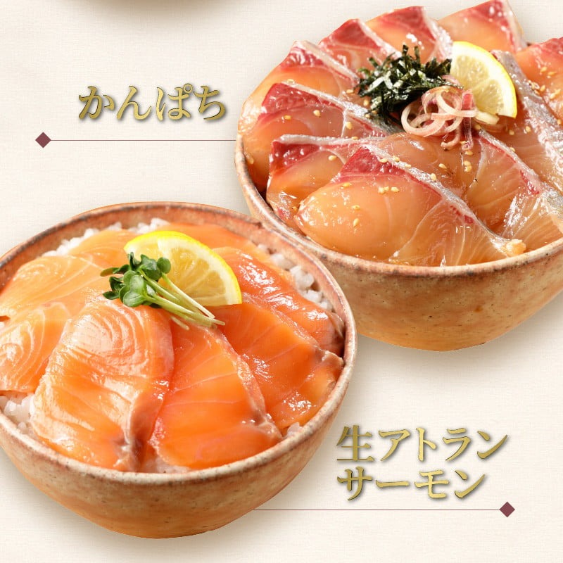 【冷凍】ぶり・真鯛・かんぱち・生アトランサーモンの漬け丼4種食べ比べセット100g×8袋 N019-YB250