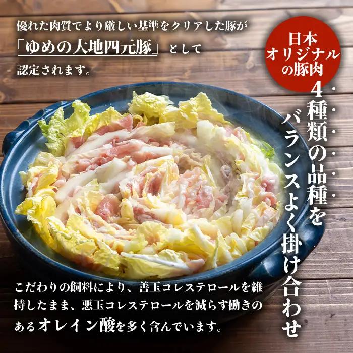 【北海道ブランド豚】「ゆめの大地」 豚バラスライス 200g×5パック【27004】