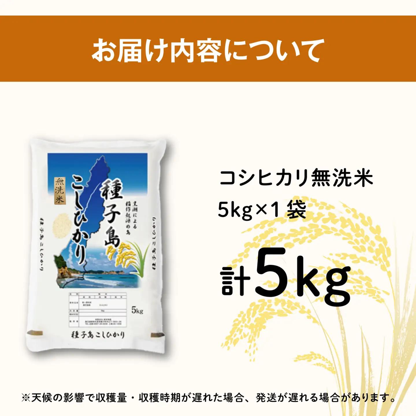 《令和8年産米 新米》 種子島産 無洗米 コシヒカリ5kg 【新栄物産】