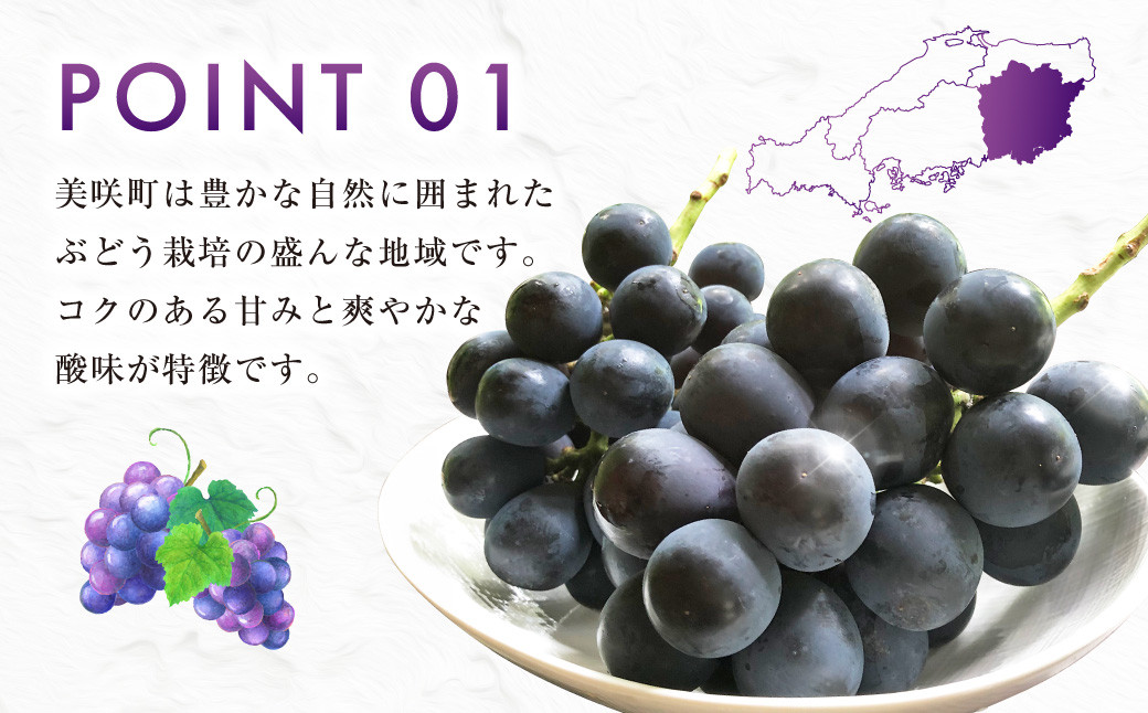 ニューピオーネ（良） 2kg