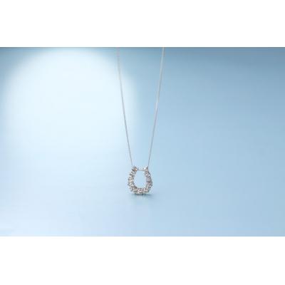 ふるさと納税 甲府市 Pt900ダイヤモンドネックレス 0.363ct/上品な馬蹄デザイン/PT900-N007D |  | 01