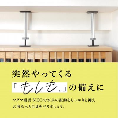 ふるさと納税 佐野市 マグマ耐震NEO　N-400　2本入り　1セット |  | 01