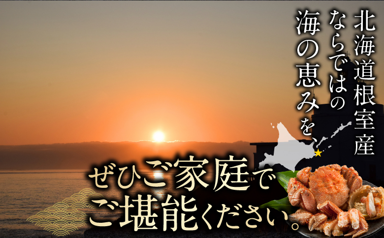 【北海道根室産】毛がに450g前後×2尾 C-21003