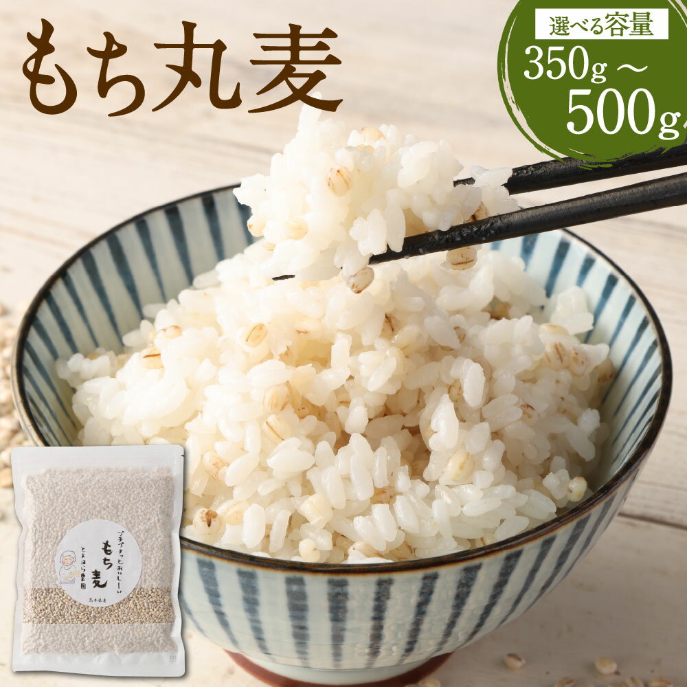 【ふるさと納税】【選べる容量】ご飯にもサラダにも！ もち丸麦 350g／500g 麦 もち麦 とよはら農園 雑穀 熊本県産 九州産 国産 熊本県 湯前町 送料無料