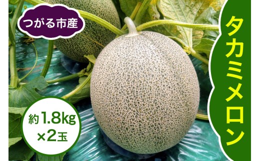 タカミ メロン 約1.8kg×2玉｜2026年 令和8年 青森 津軽 つがる産 タカミ メロン めろん 特産 ジューシー 糖度 フルーツ 果物 ギフト 産直 青肉メロン 夏メロン [0858]