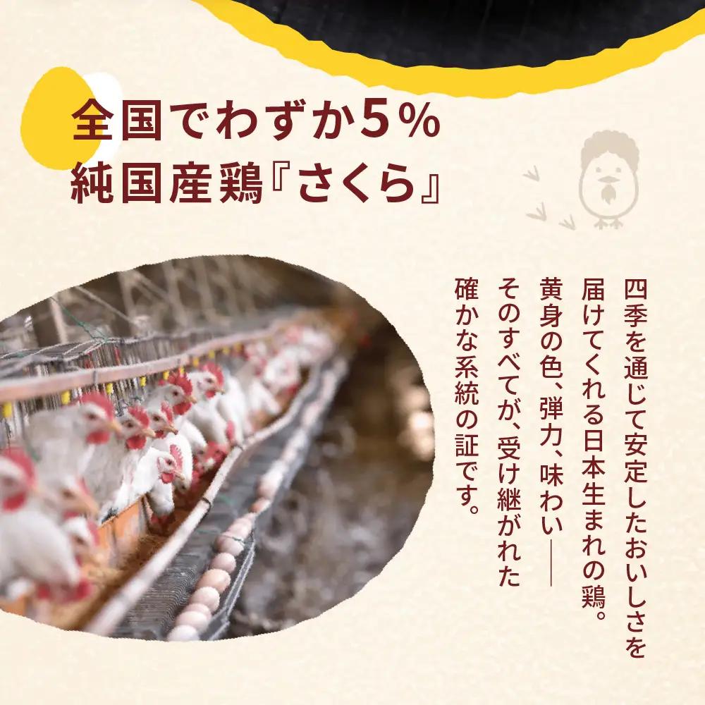 【定期便12ヶ月】純国産鶏 さくらたまご 20個｜たまご
