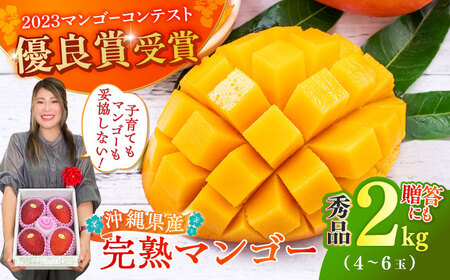 【優良賞受賞】沖縄県産 完熟マンゴー 秀品 2kg (4〜6玉) マンゴー沖縄市 / MAIFARM マンゴー マンゴーマンゴーマンゴー[BCAN002]