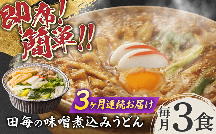【3回定期便】岐阜の味 田毎の味噌煮込みうどんセット 即席 カンタン 麺 岐阜市 / ラボレムス [ANFP008]
