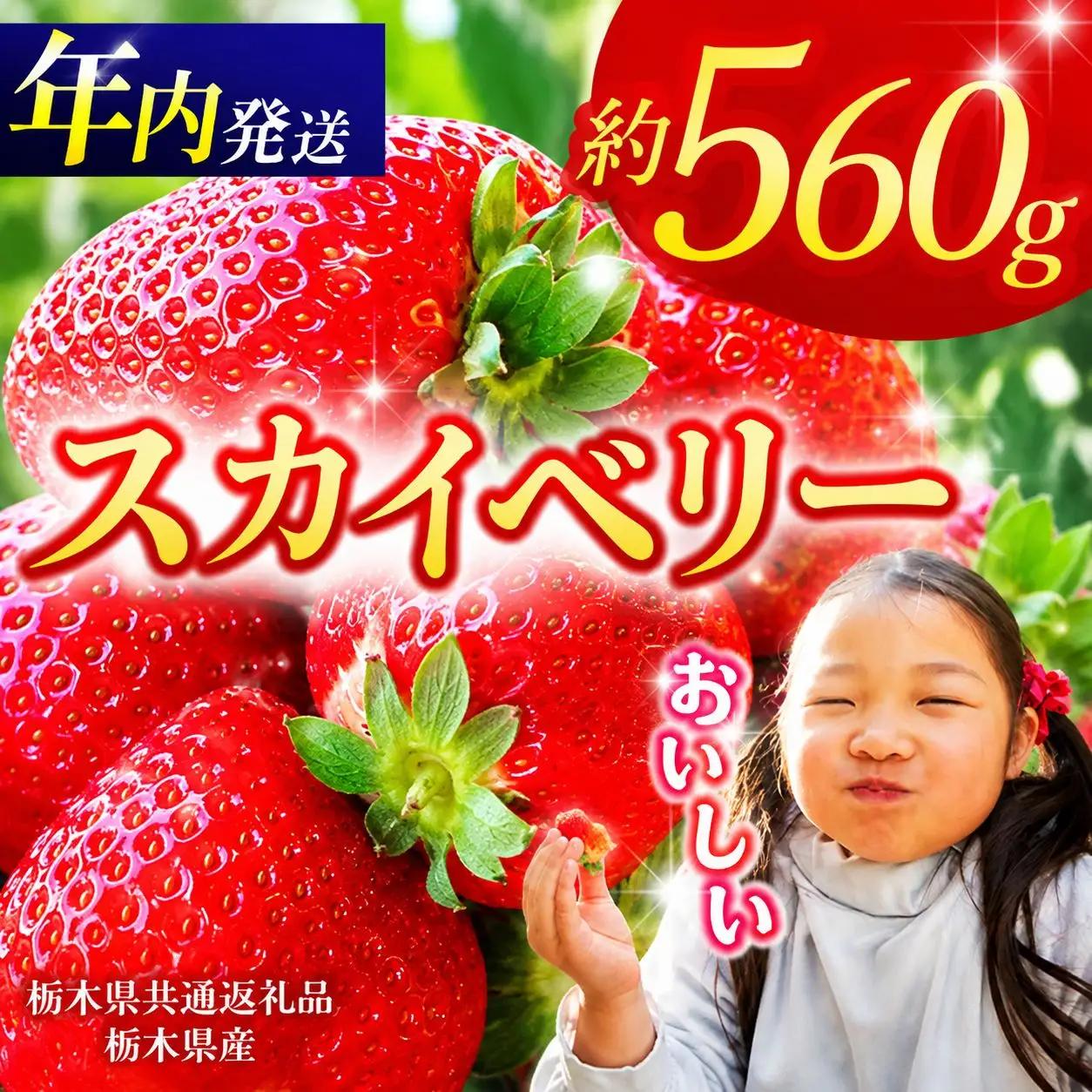 【栃木県共通返礼品】【2026年先行予約】スカイベリー 280g×2P| 年内発送 果物 くだもの フルーツ 野菜 やさい ヤサイ 苺 イチゴ いちご スカイベリー 新鮮 甘い 数量 限定 美味しい 果物 共通返礼品 フルーツ デザート 栃木県 那珂川町 送料無料