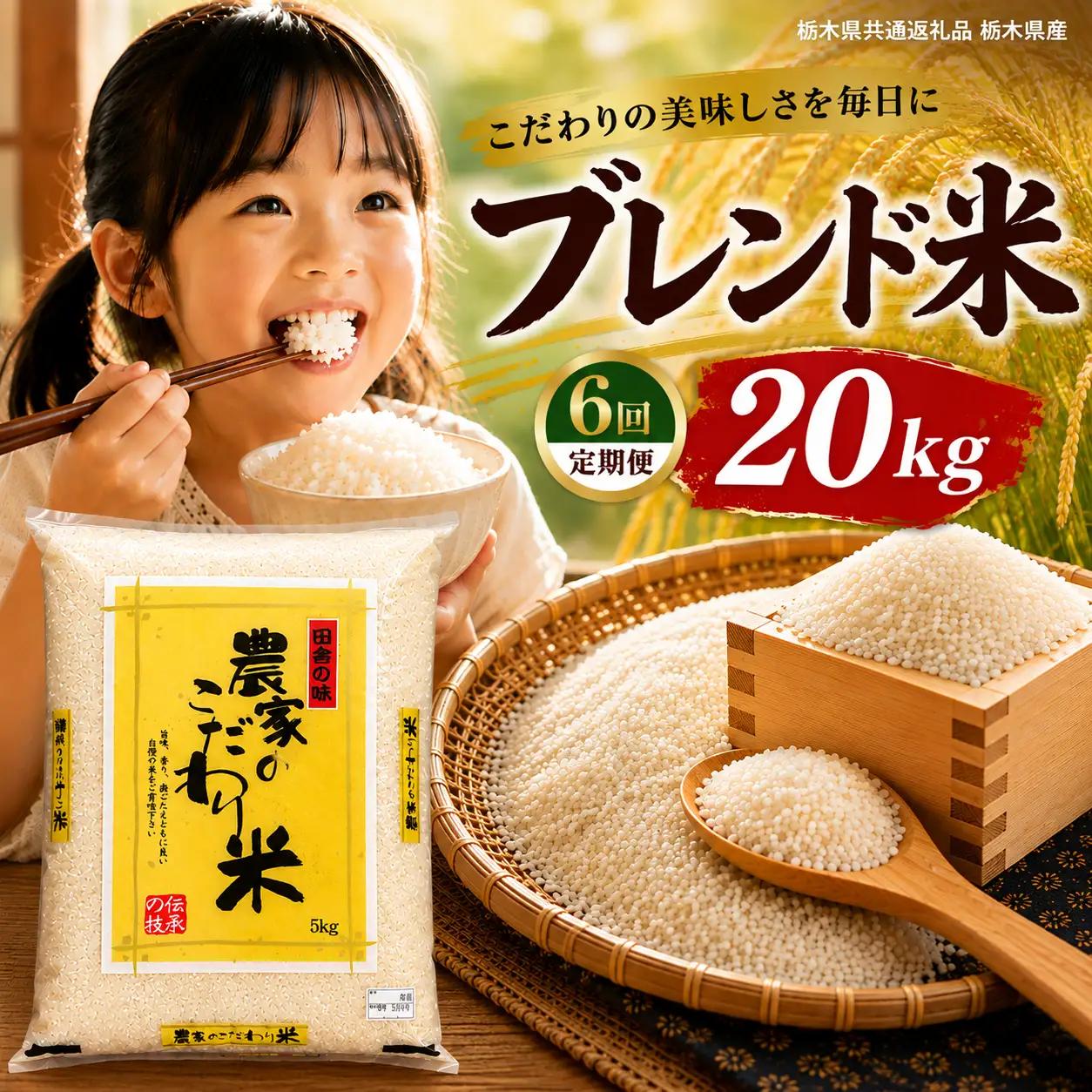 【定期6回】栃木県産 ブレンド米 20kg【栃木県共通返礼品】
