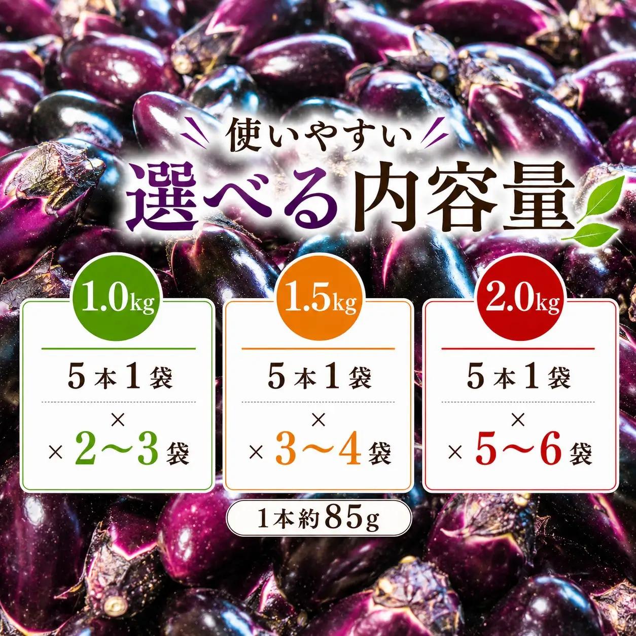 スピード発送【今が旬☆新鮮！朝どれナスをドドンと1.5kg ‼】期間限定 朝採れ 産地直送 おひさま農園 高知県 室戸市