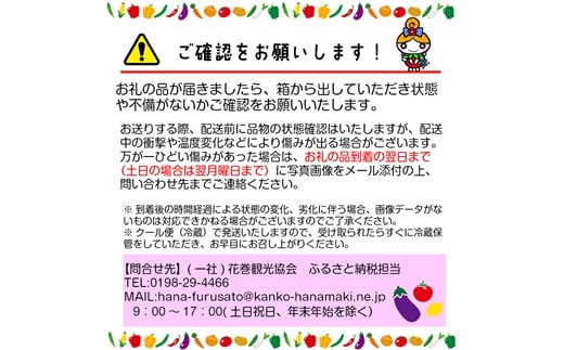 ＜2025年4月より発送開始＞【定期便６ヶ月コース】イーハトーヴ野菜A お試しセット  7～8品 詰め合わせ 【294】