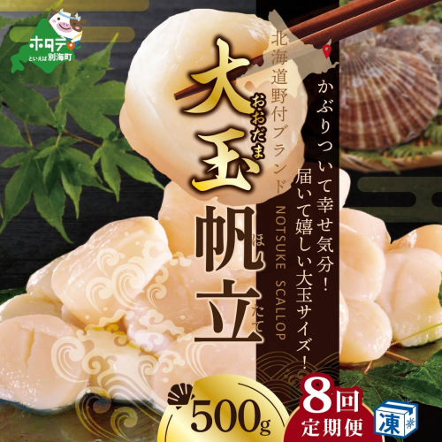 【毎月8ヶ月定期便】北海道 野付産 冷凍ホタテ 貝柱 特大（Mサイズ）ホタテ500ｇ（ほたて ホタテ 帆立 ふるさと納税 お届け）