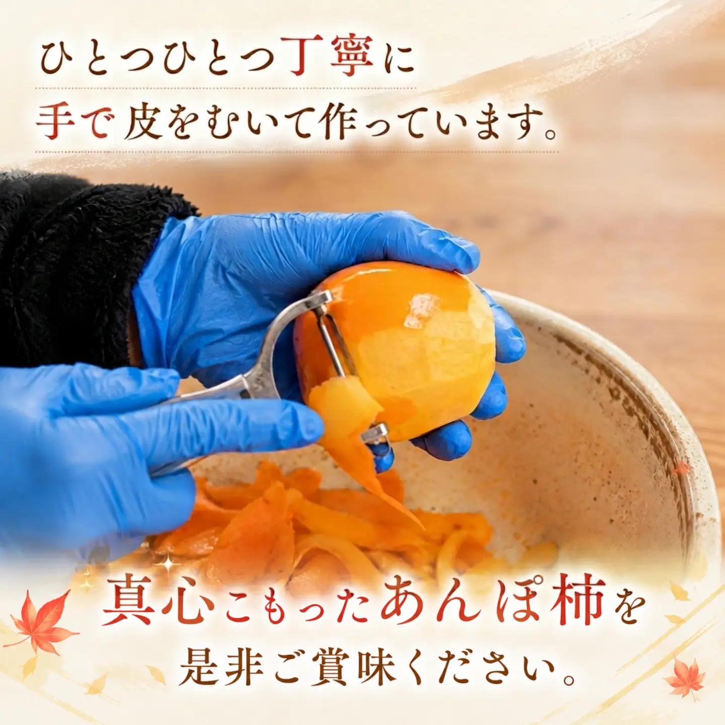 Y096 西条あんぽ柿
