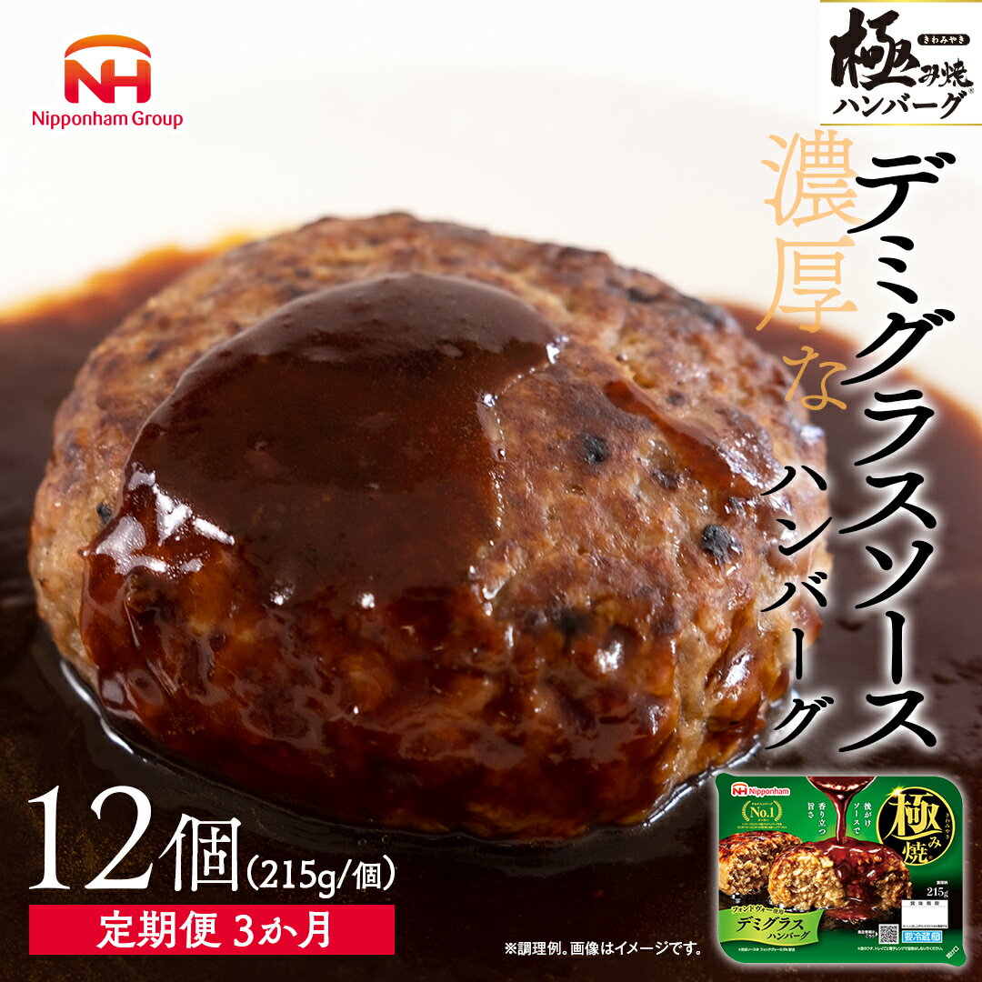 【ふるさと納税】極み焼きハンバーグ（デミグラスソース）セット定期便3か月 定期便