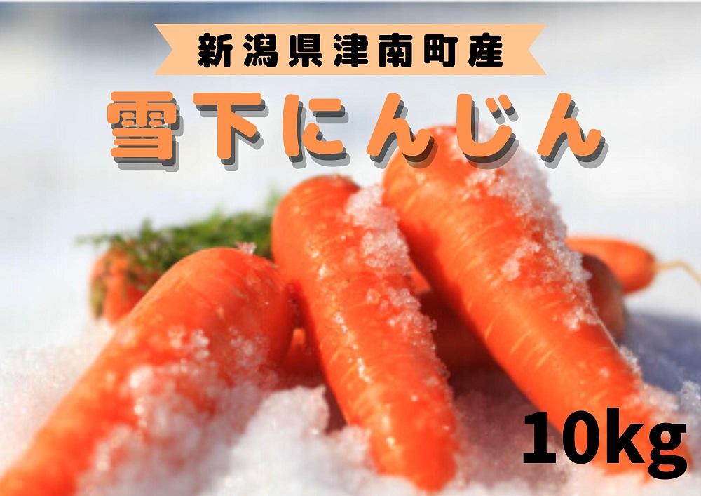 【令和8年産 先行予約】【季節限定】雪国ならではの逸品！津南町の雪下にんじん 10kg 50～70本 人参