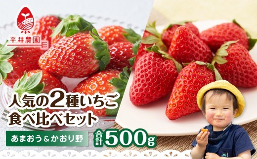 いちご堪能詰め合わせセット 250g×2パック（合計500g）｜2026年12月～順次発送＜ひらい観光農園＞