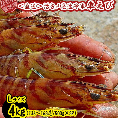 【ふるさと納税】【養殖場から直送】活き〆急速冷凍車えび　Lサイズ　約4kg（136～168尾/500g×8P） 車海老 海鮮 魚介類 海産物 シーフード お取り寄せ 美味 料理 クルマエビ くるまえび 塩焼き フライ 天丼 お刺身 フリット 蝦 ゆで 送料無料 沖縄県産 たまや