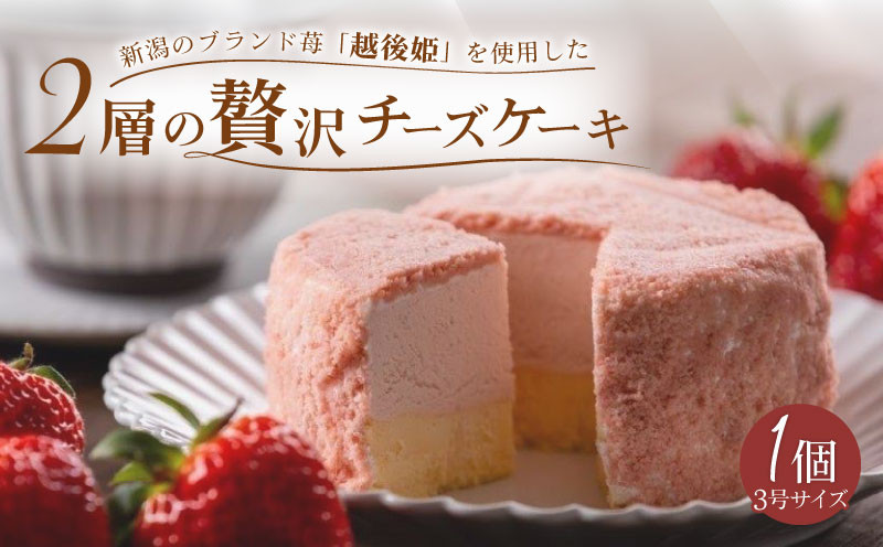 
            【4月より順次発送】 いちごチーズケーキ 1個 9cm ホールケーキ 越後姫 チーズケーキ 農高卵 レアチーズ ベイクドチーズケーキ ベイクド ケーキ デザート Sweets スイーツ 乳製品 加工品 加工食品 乳 贅沢 濃厚 お菓子 洋菓子 菓子 おやつ ご褒美 冷凍 誕生日 新柳本店 母の日 父の日 新潟 新発田 sinyanagi006
          