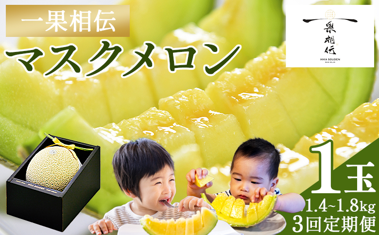 【３回定期便】一果相伝マスクメロン 1玉入り- めろん 青肉 果物 くだもの フルーツ 贈答用 贈答品 贈り物 ギフト お礼 御礼 感謝 お祝い 御祝い 産地直送 新鮮 篤農 高知県 香南市 常温 Wtn-0040