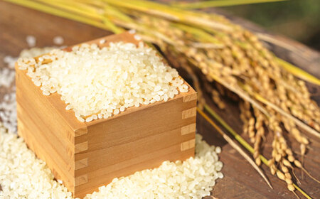 さがびより 七分づき無洗米 4kg (2kg×2袋) / 佐賀県 / 株式会社SUMRICE[41AAAV004]