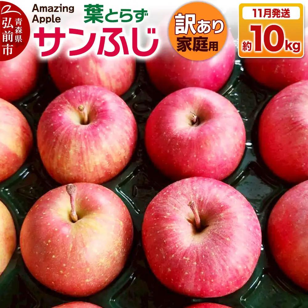 【26年11月下旬発送】りんご 葉とらずサンふじ【訳あり】家庭用 約10kg