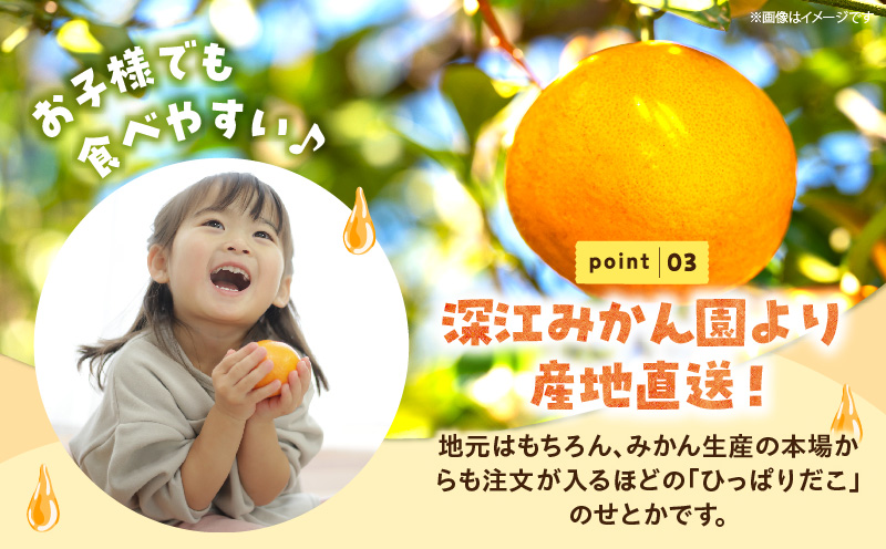 【先行予約】＜数量限定＞＜2027年2月中旬頃から順次発送予定＞《A級品》 順子姉さんのひっぱりだこ愛情せとか 2.5kg 果物 フルーツ デザート スイーツ ギフト プレゼント 贈り物 贈答 プレゼ
